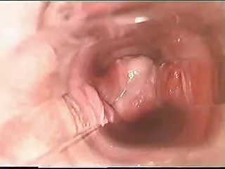 تازه کار, از دست دادن بکارت مقعد سکس فیلم سکسی